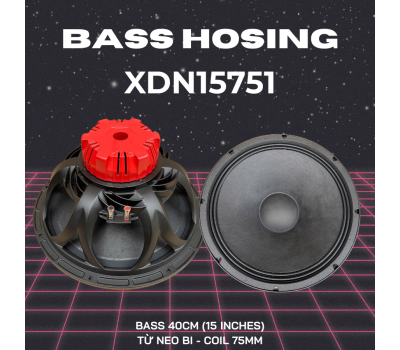 Bass 40 XDN15751 -  Lựa chọn lý tưởng cho hệ thống âm thanh chuyên nghiệp