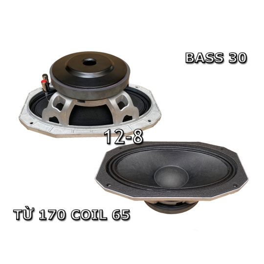 Bass 30 từ 170 coil 65 - 12-8